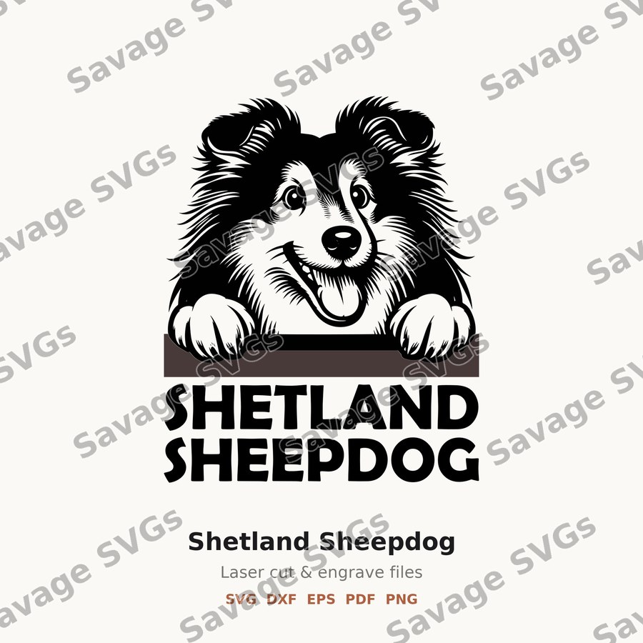 Shetland Sheepdog
