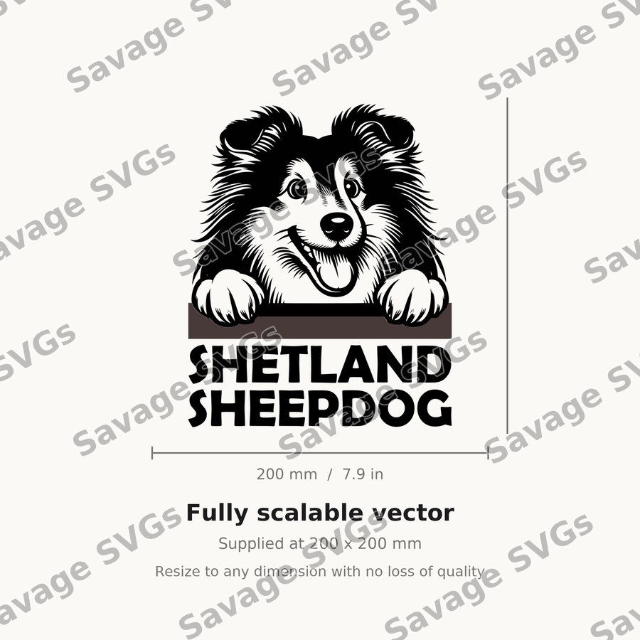Shetland Sheepdog