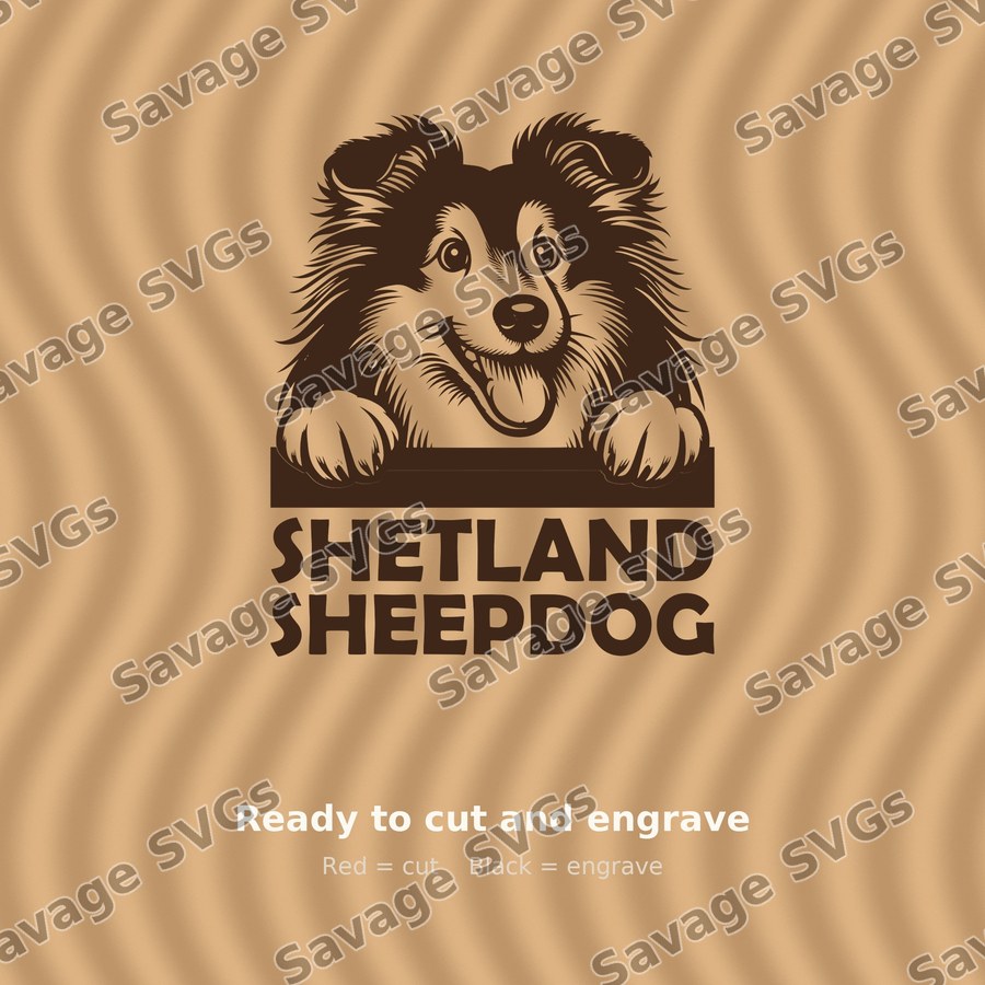 Shetland Sheepdog