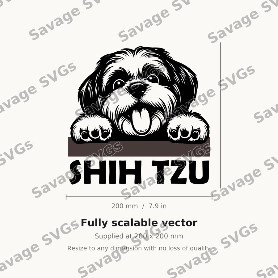 Shih Tzu Peeking
