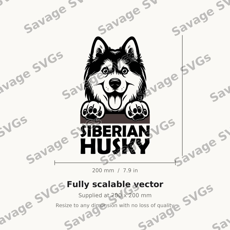 Siberian Husky Face