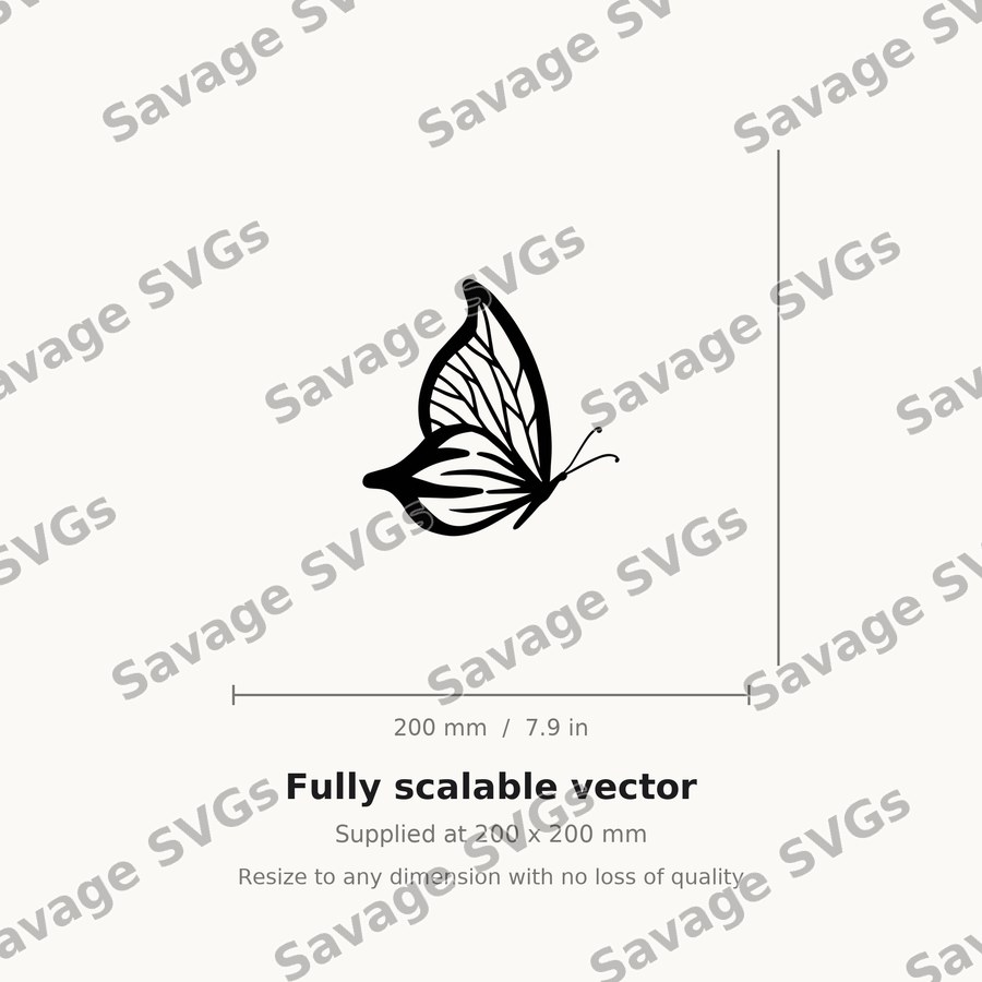 Side View Butterfly