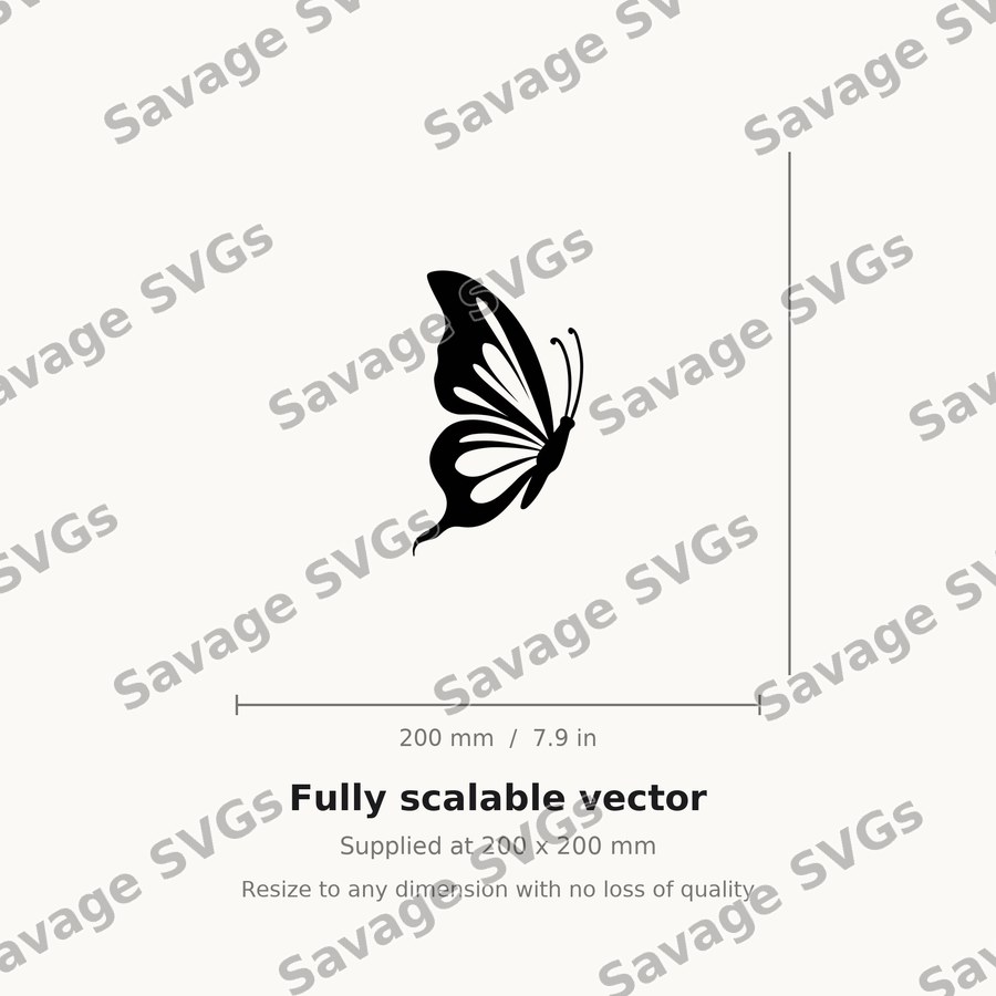 Side View Butterfly