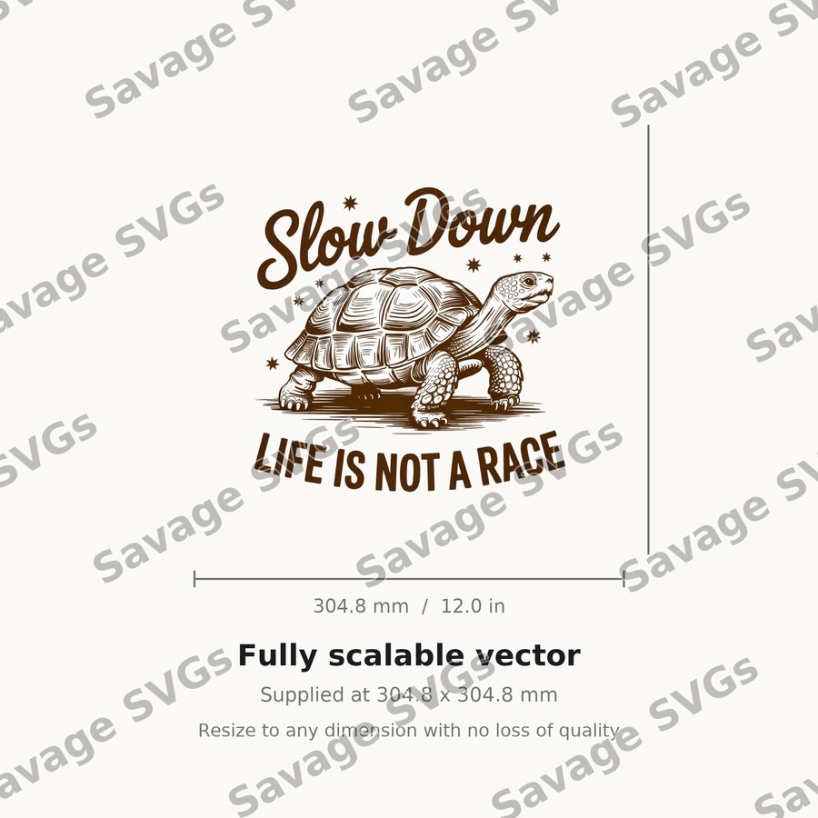 Slow Down Life Is Not A Race
