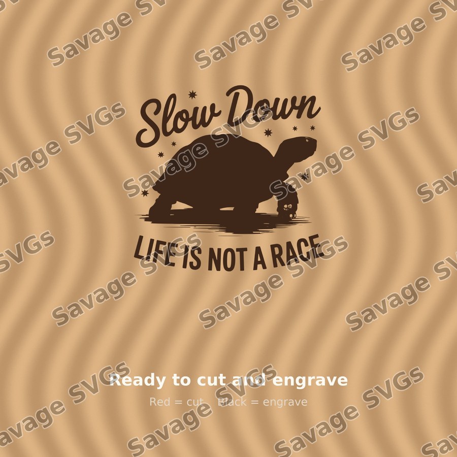 Slow Down Life Is Not A Race