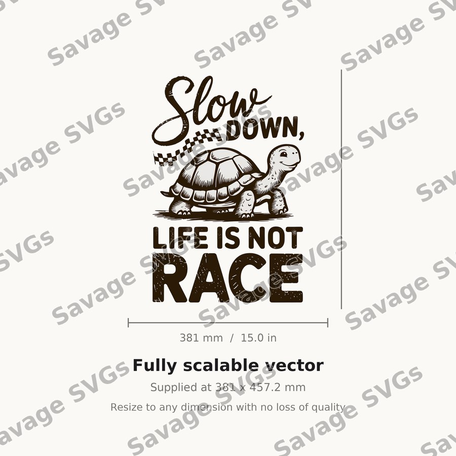Slow Down Life Is Not Race
