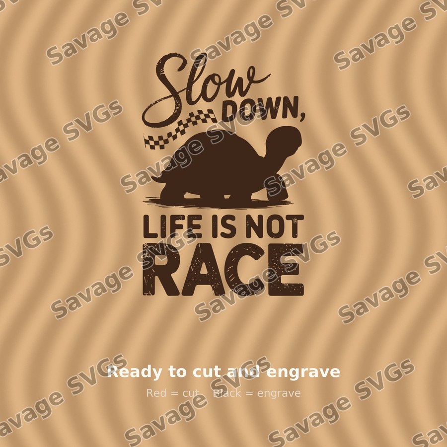 Slow Down Life Is Not Race