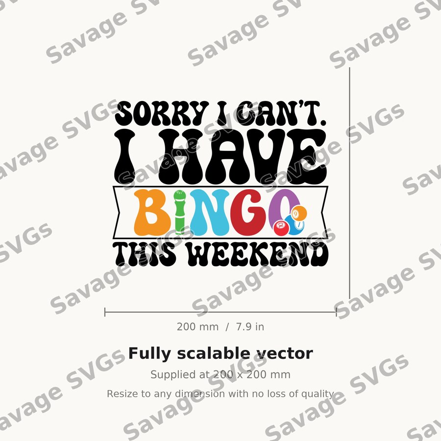 Sorry I Have Bingo