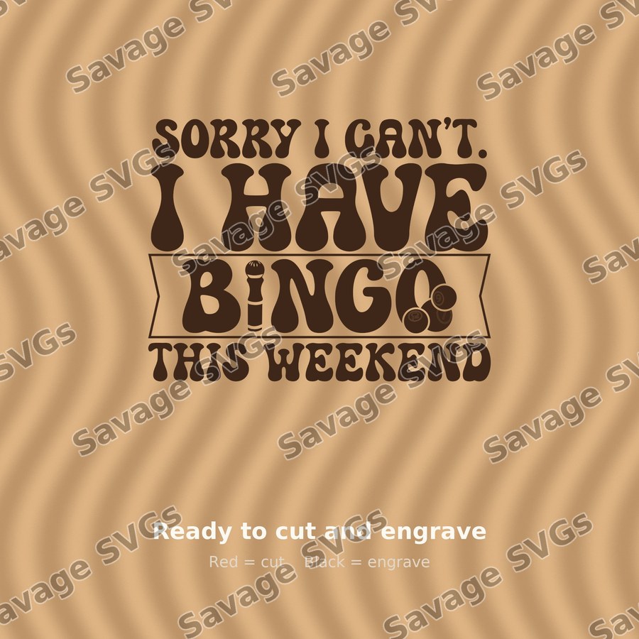 Sorry I Have Bingo