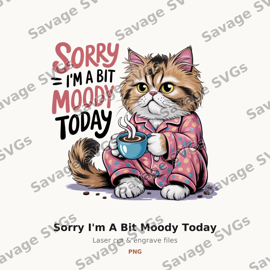 Sorry I'm A Bit Moody Today