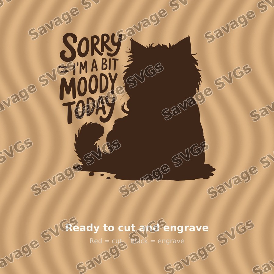 Sorry I'm A Bit Moody Today