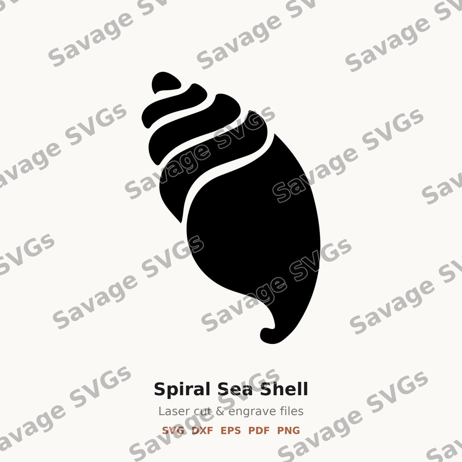 Spiral Sea Shell