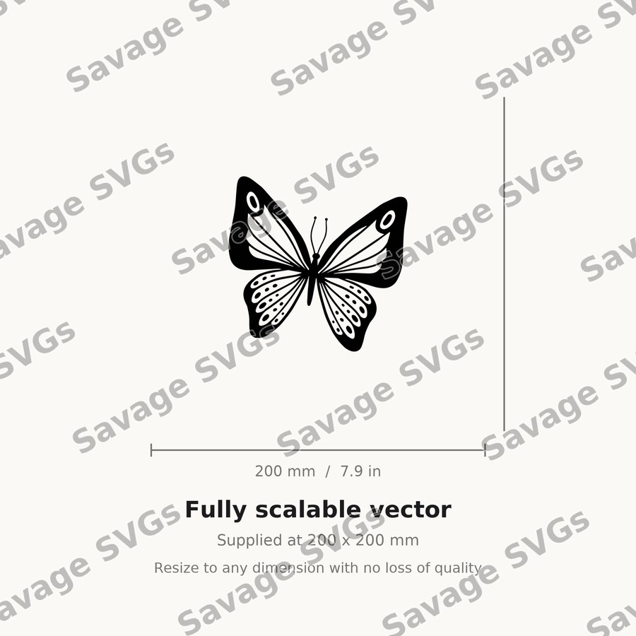 Spotted Butterfly