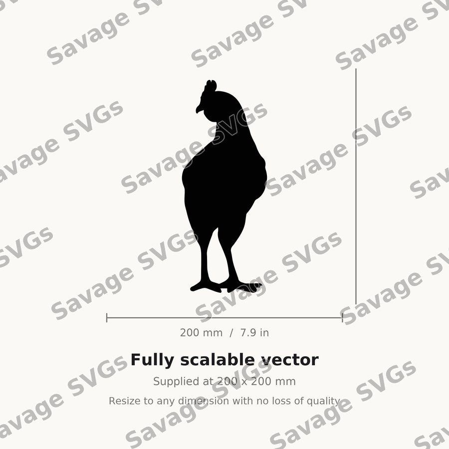 Standing Hen