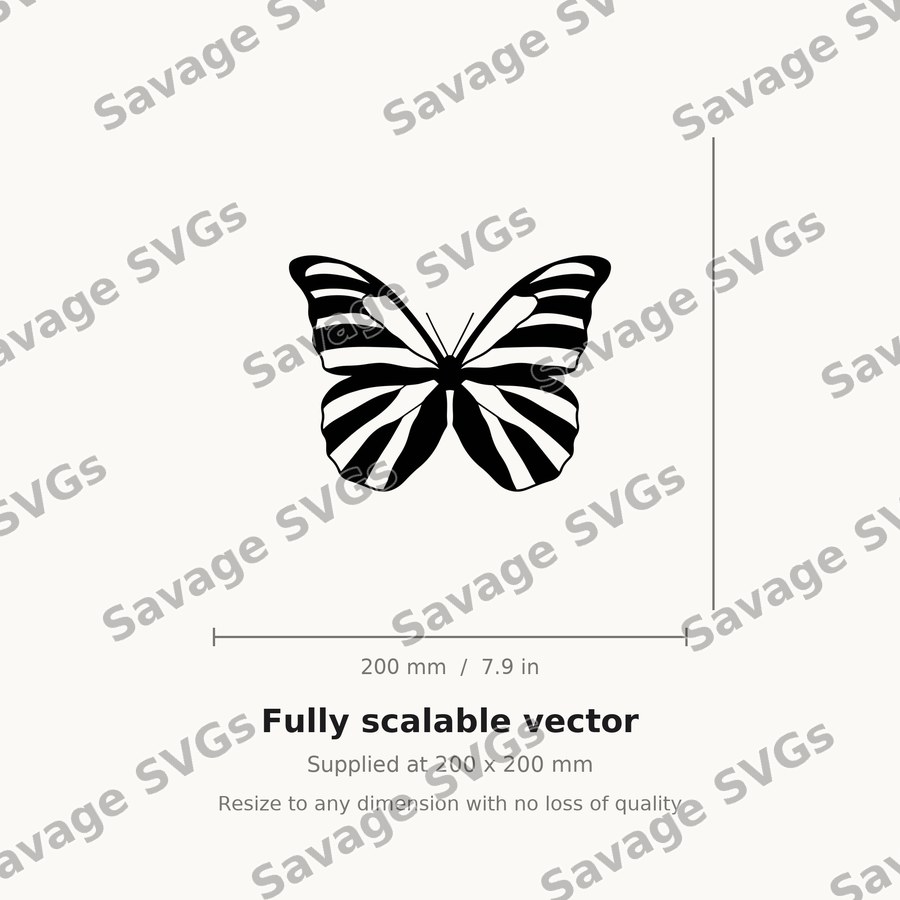 Striped Butterfly