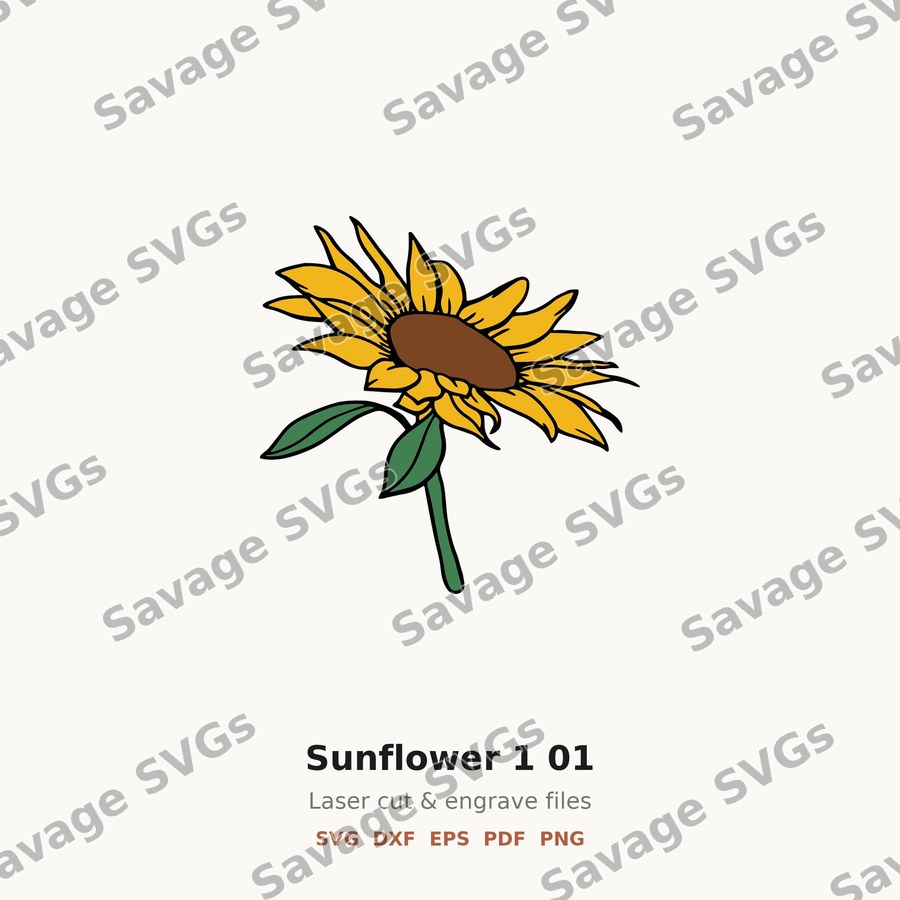Sunflower 1 01