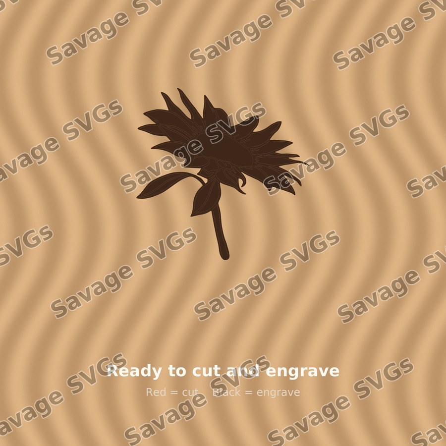 Sunflower 1 01