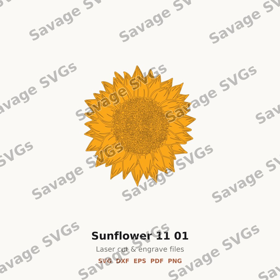 Sunflower 11 01