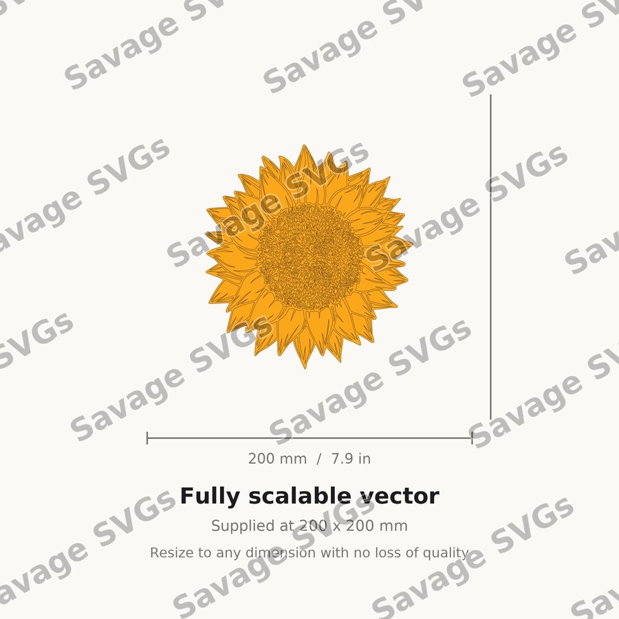 Sunflower 11 01