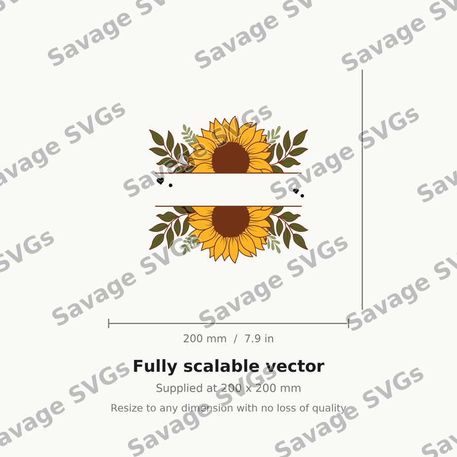 Sunflower 12 01