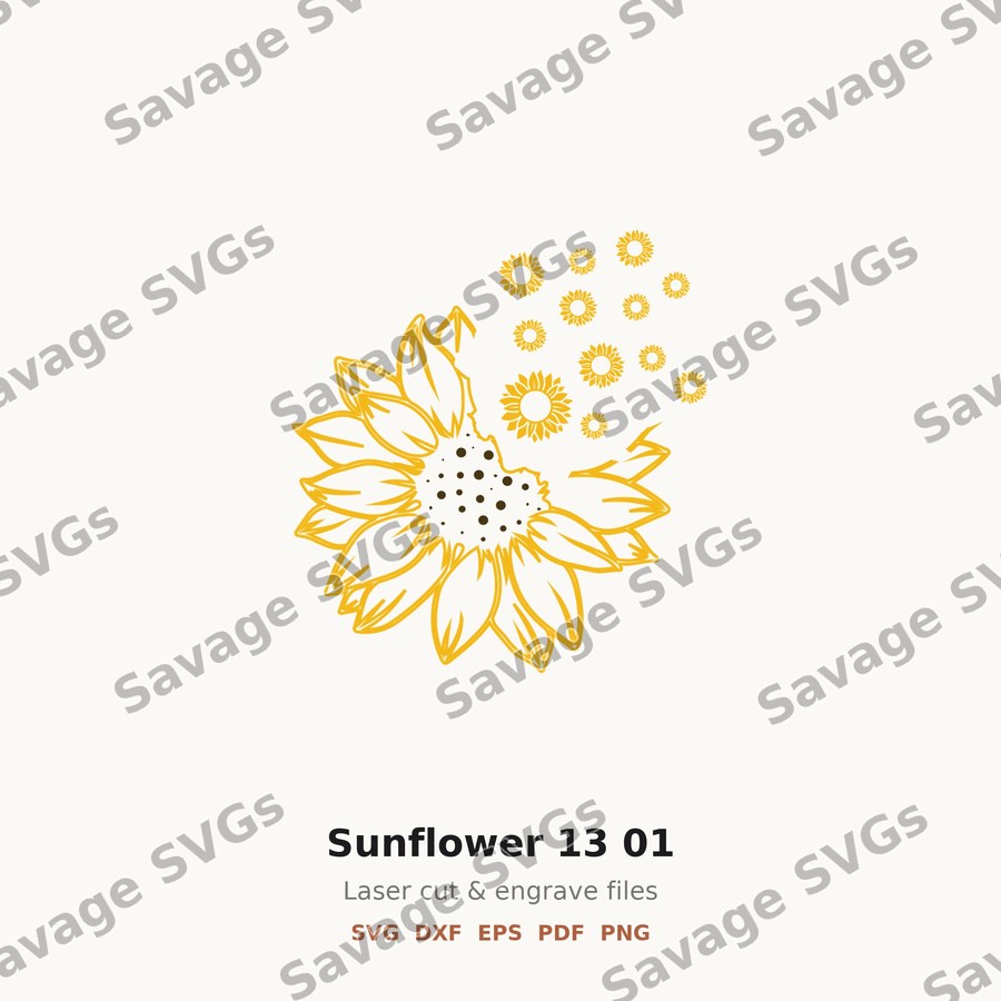 Sunflower 13 01