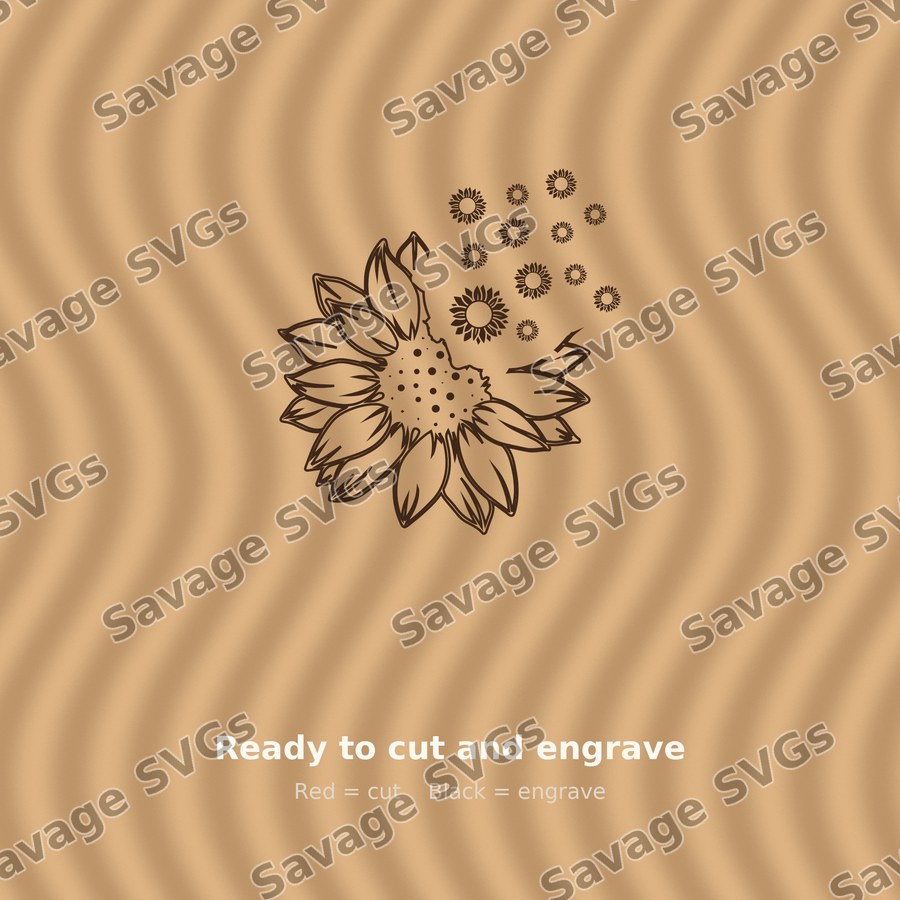 Sunflower 13 01