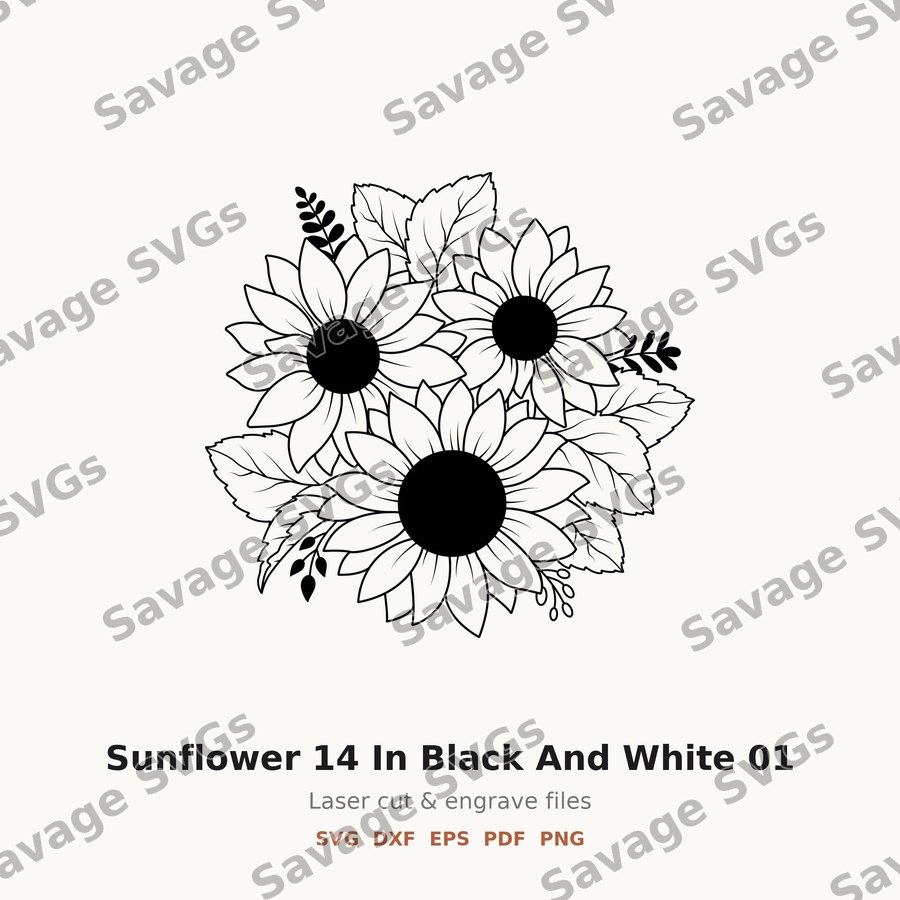 Sunflower 14 In Black And White 01