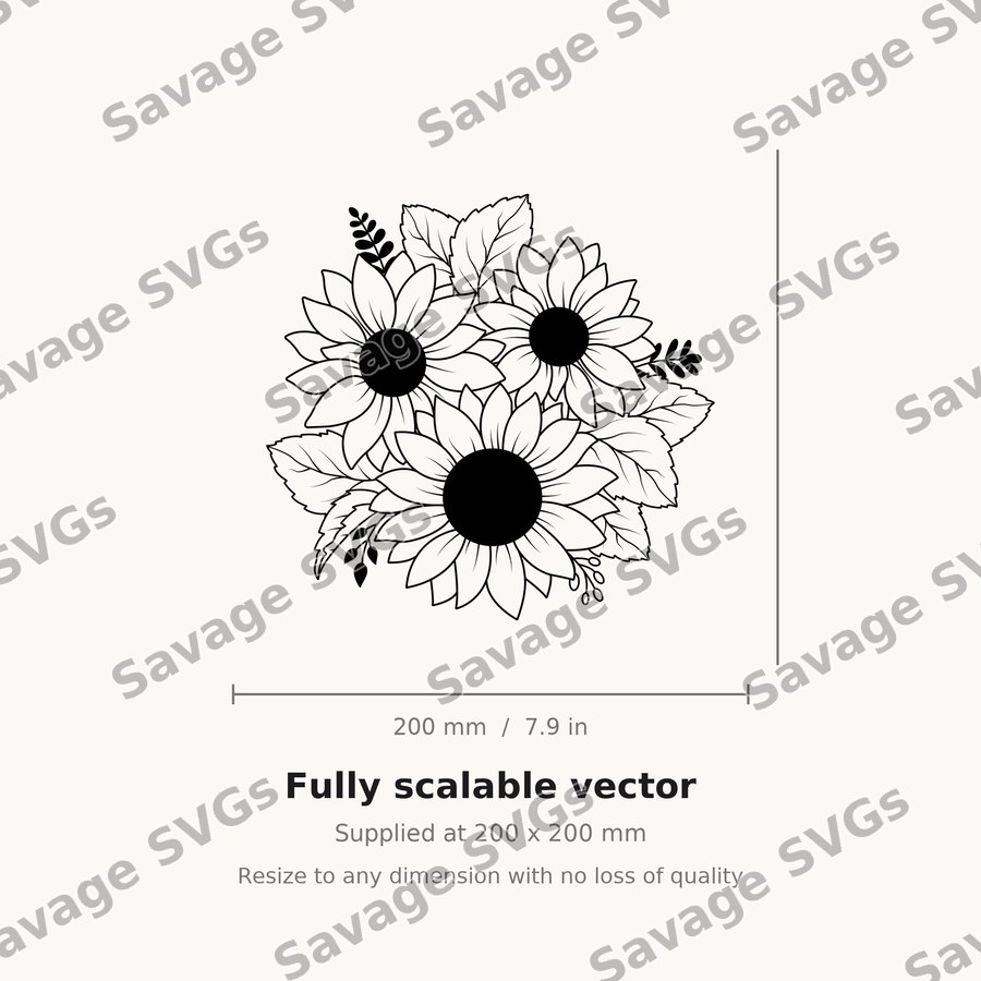 Sunflower 14 In Black And White 01