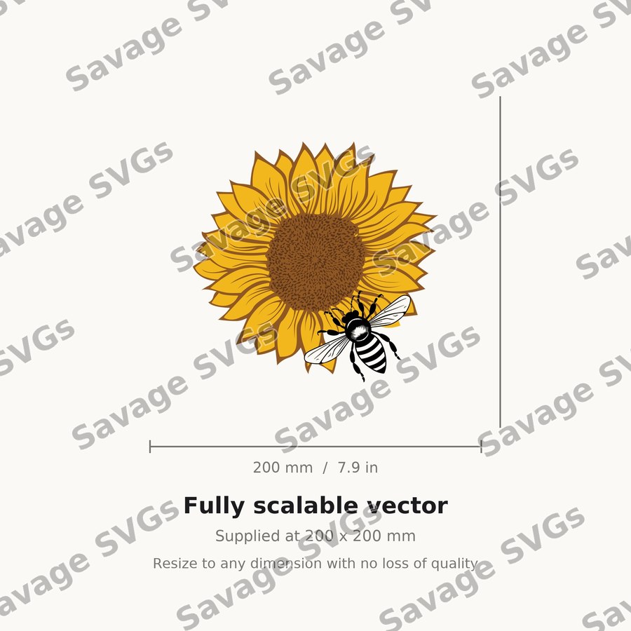 Sunflower 15 01