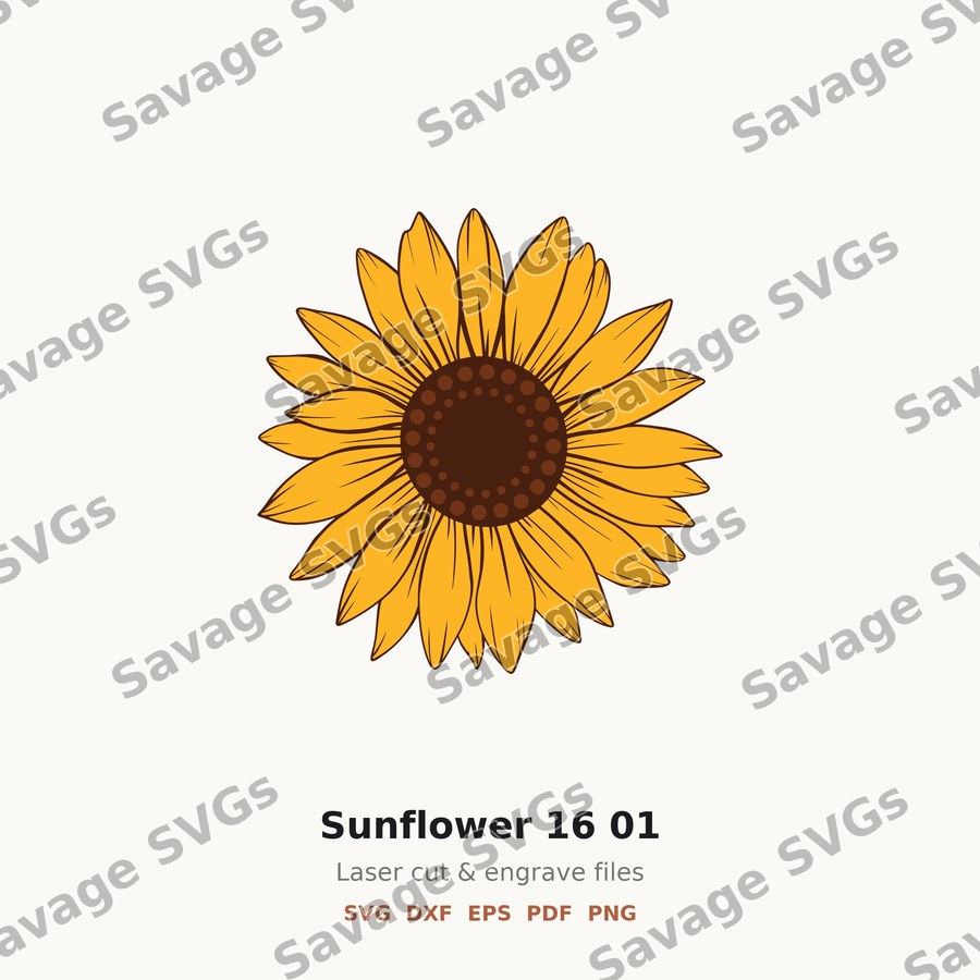 Sunflower 16 01
