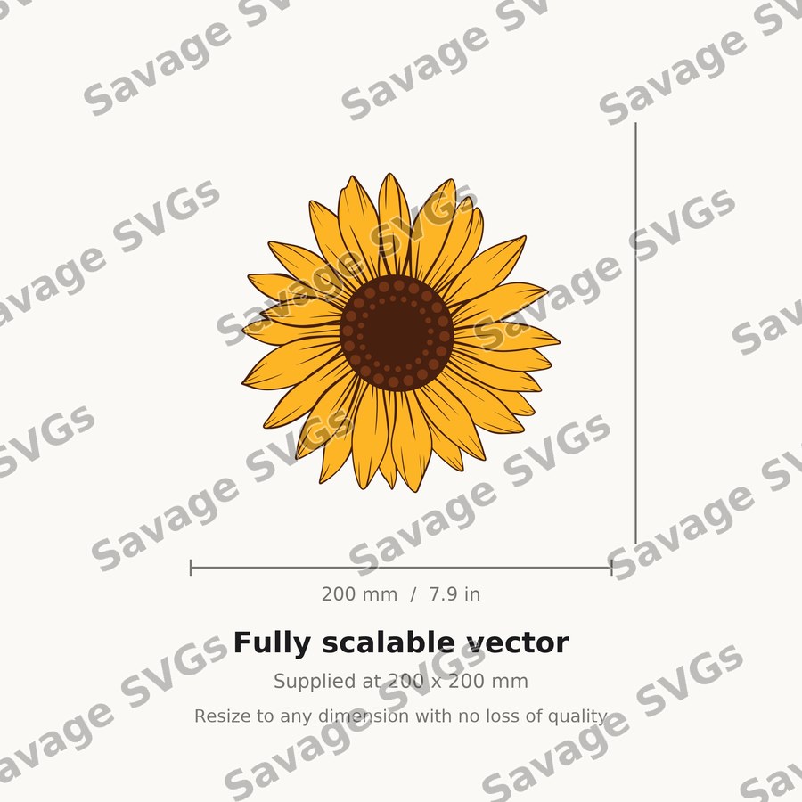 Sunflower 16 01