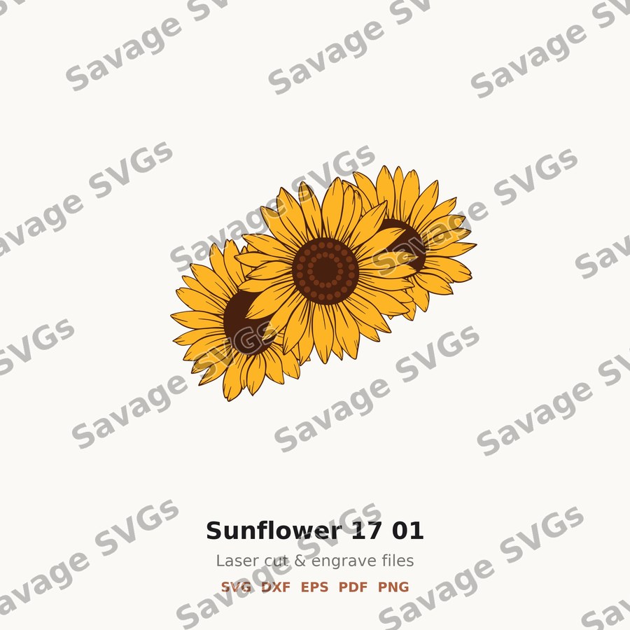 Sunflower 17 01
