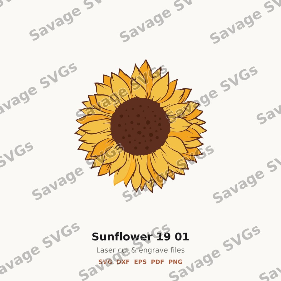 Sunflower 19 01