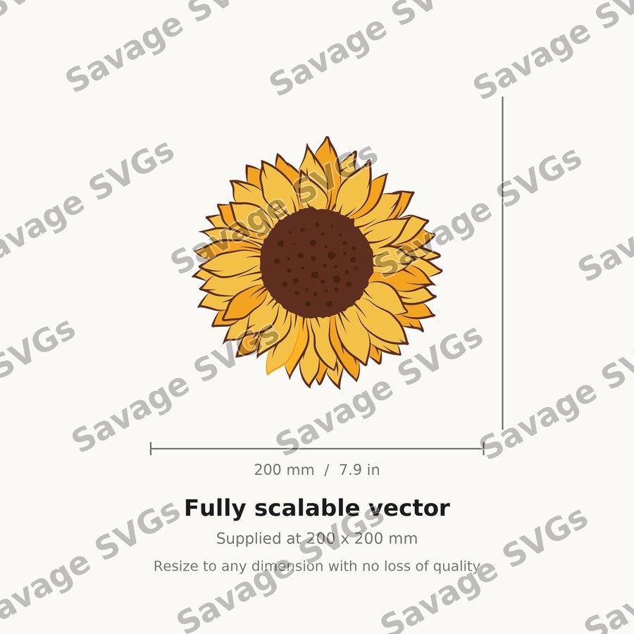Sunflower 19 01