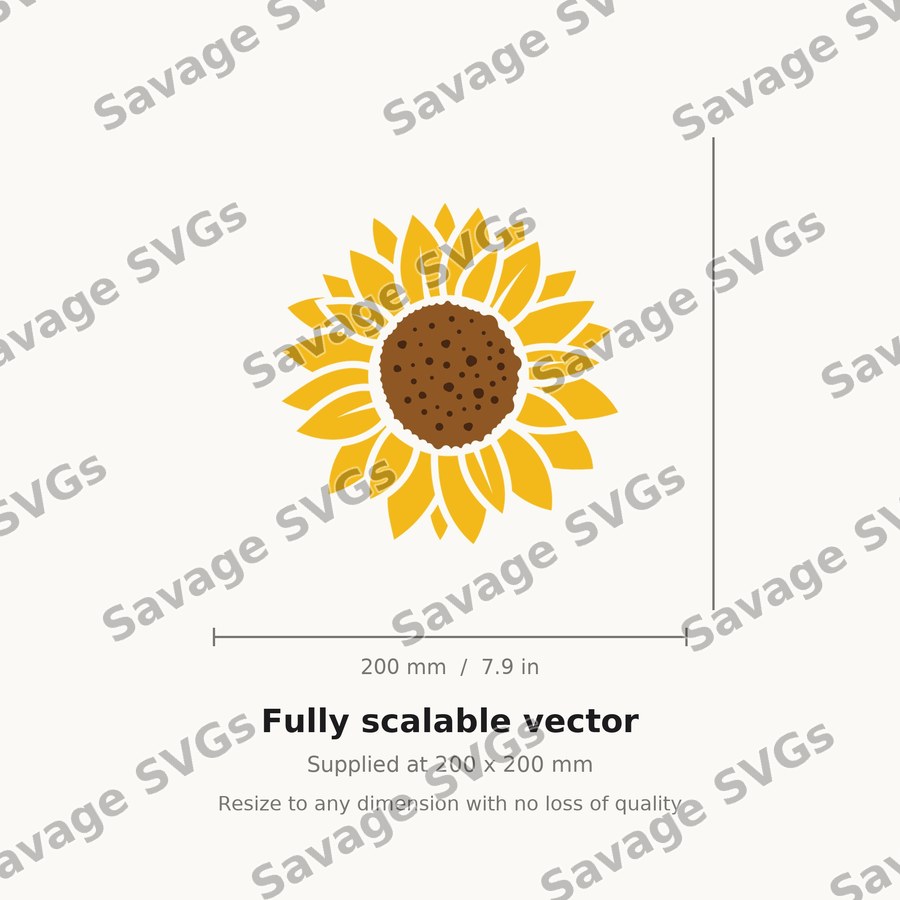 Sunflower 20 01