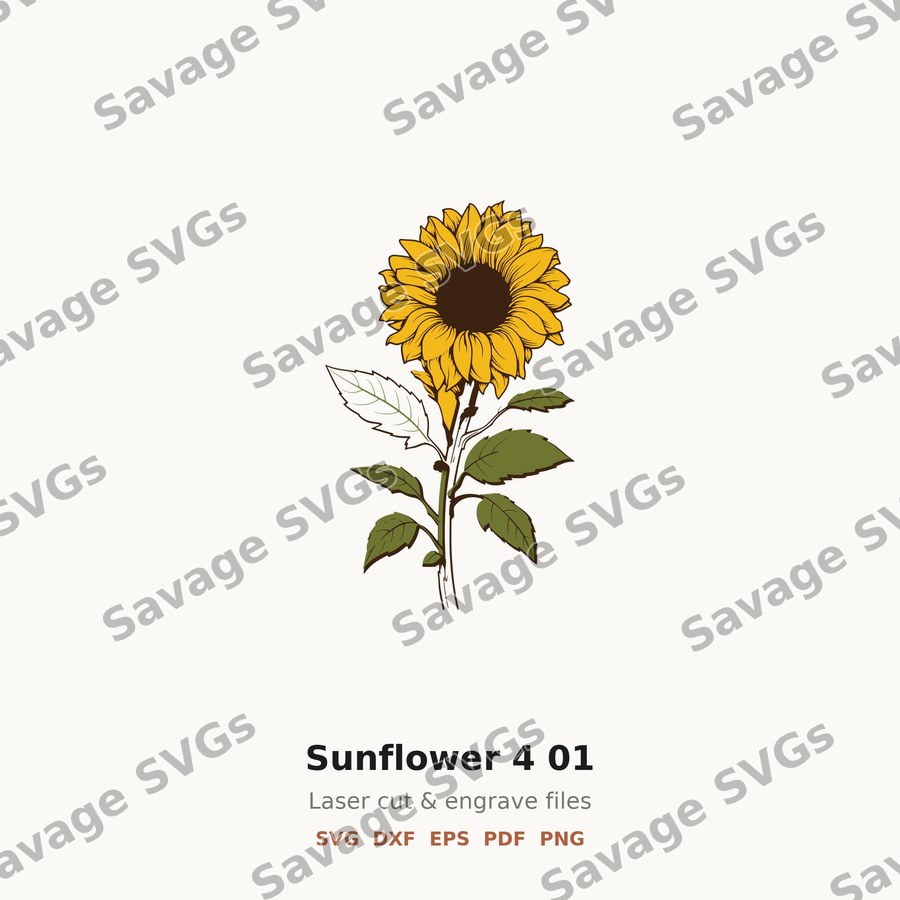 Sunflower 4 01