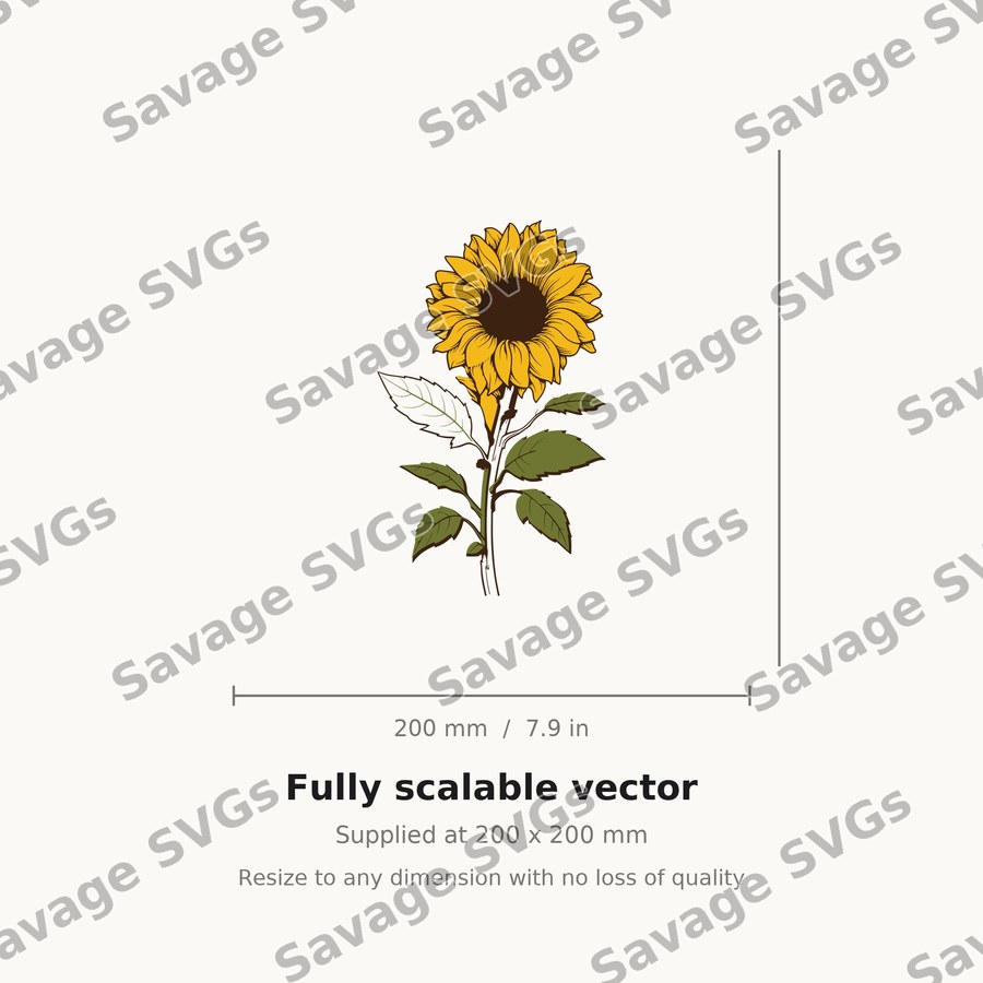 Sunflower 4 01