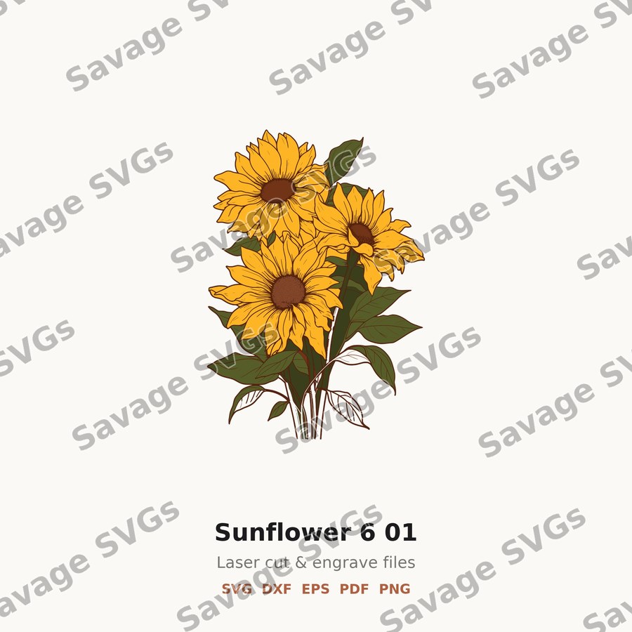Sunflower 6 01