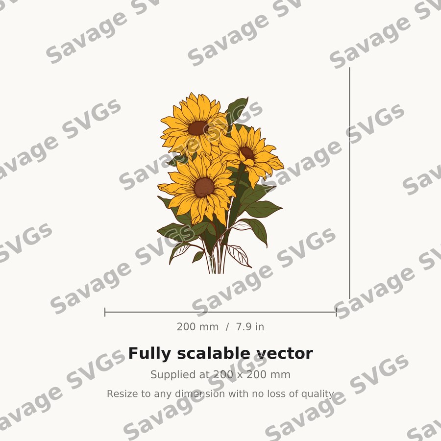 Sunflower 6 01