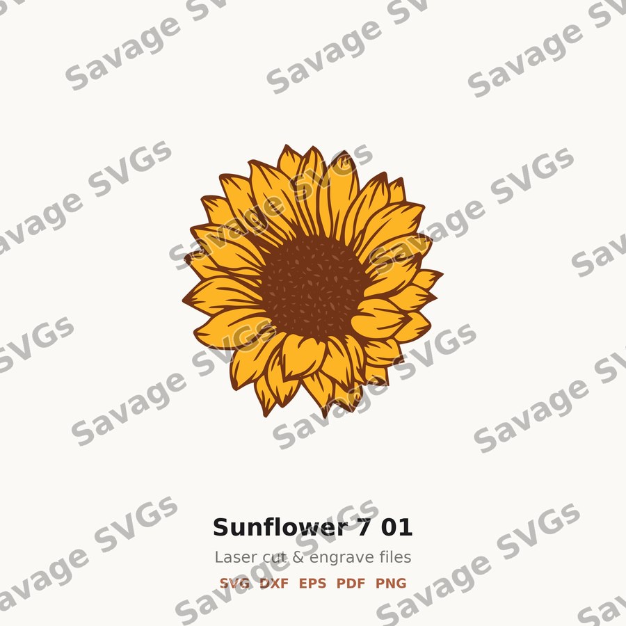 Sunflower 7 01