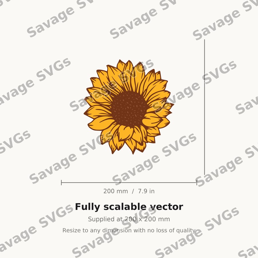 Sunflower 7 01