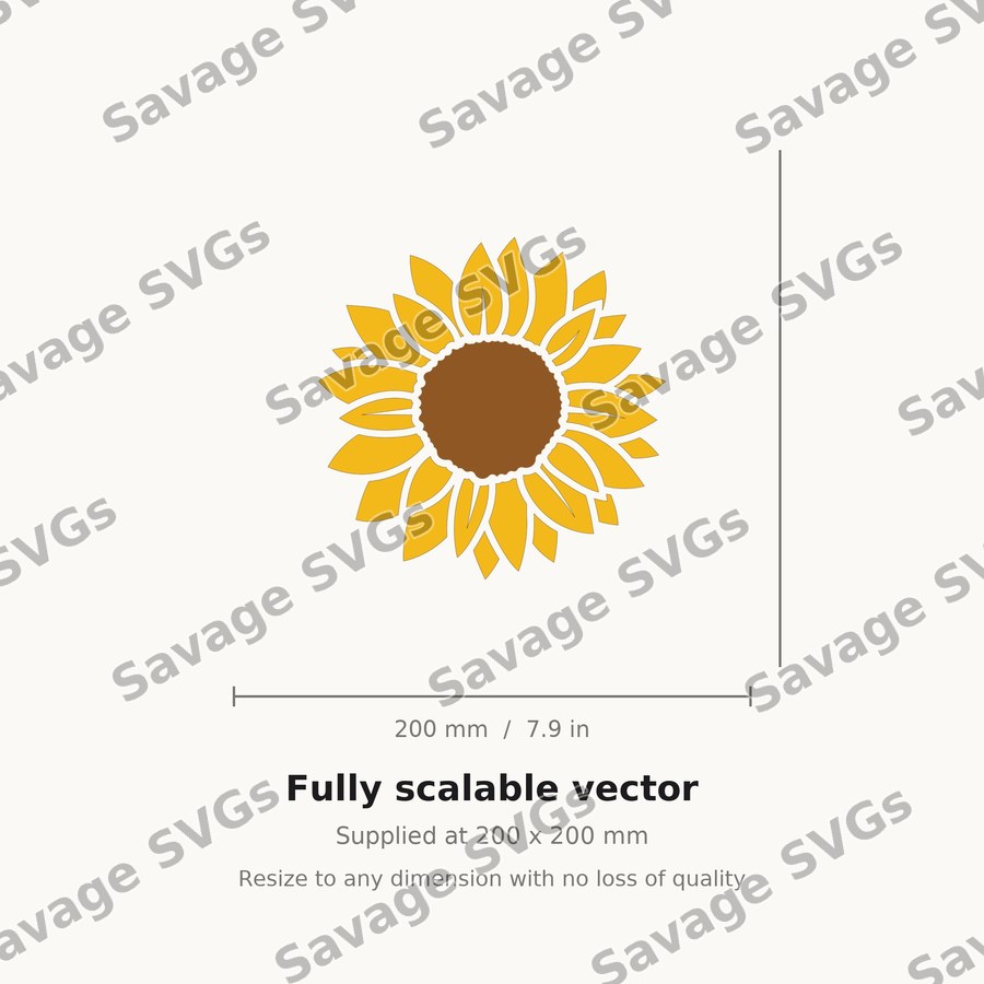 Sunflower 8 01