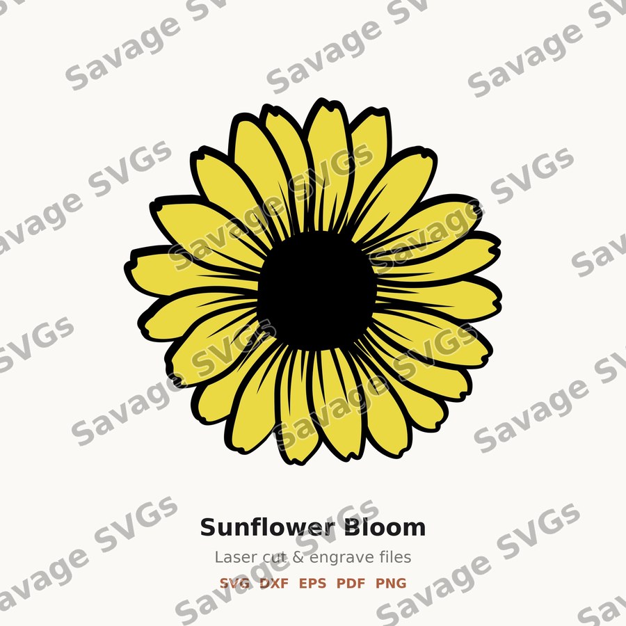 Sunflower Bloom