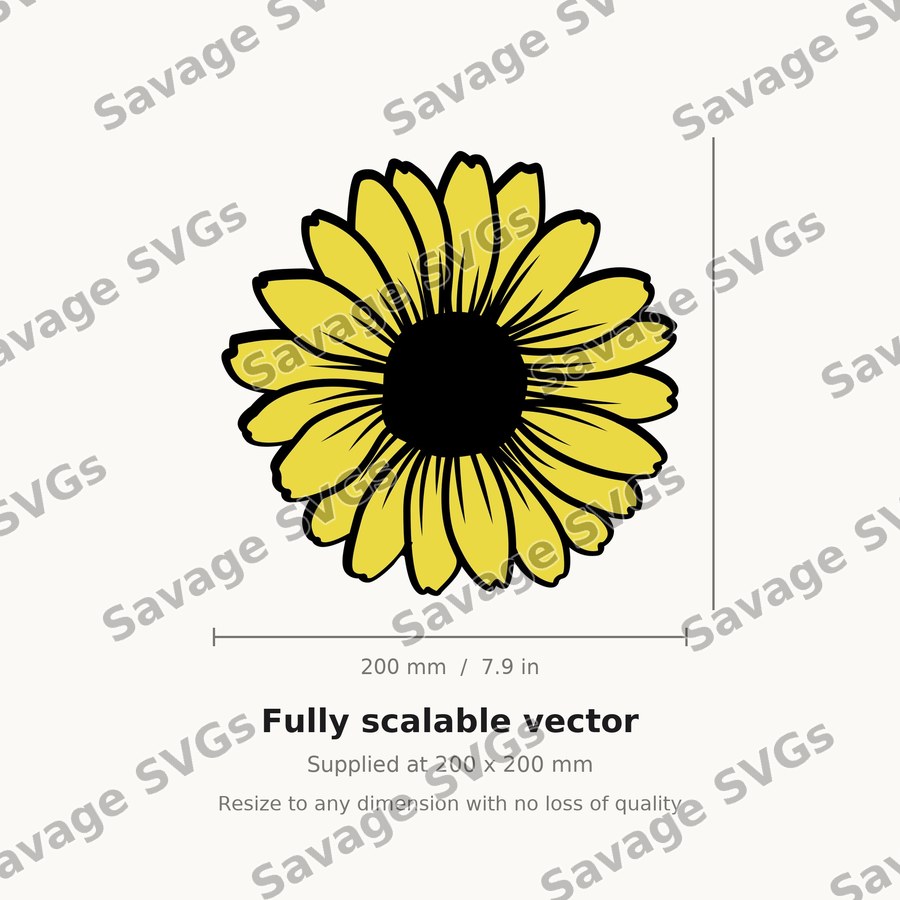 Sunflower Bloom
