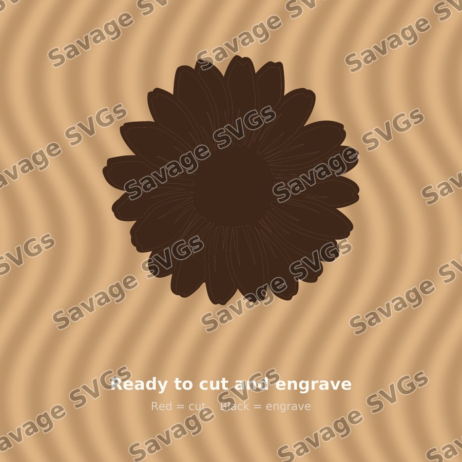 Sunflower Bloom