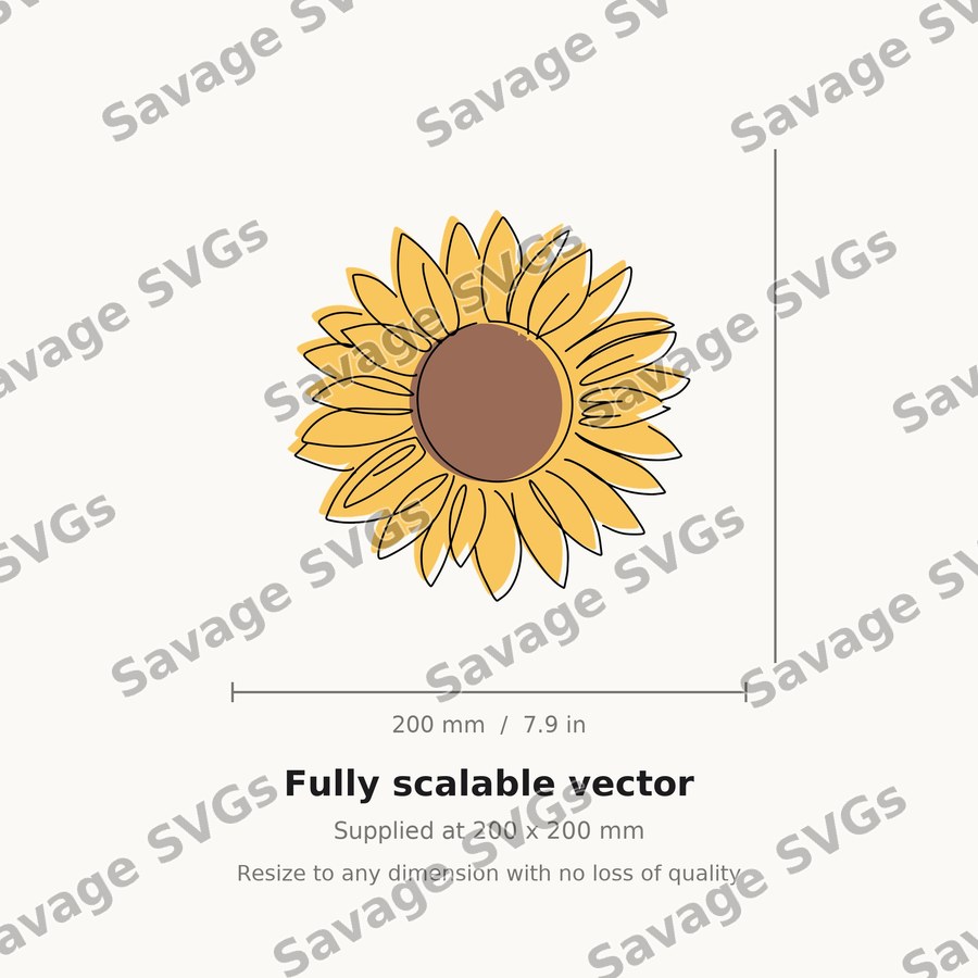 Sunflower