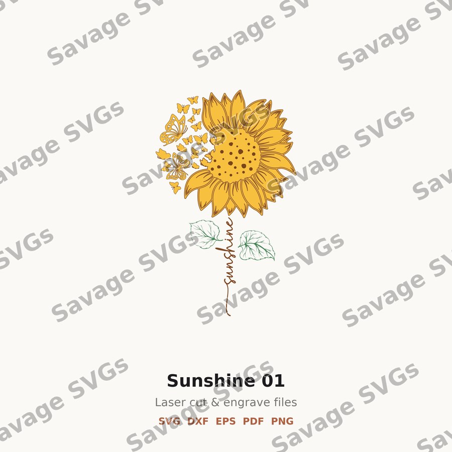 Sunshine 01