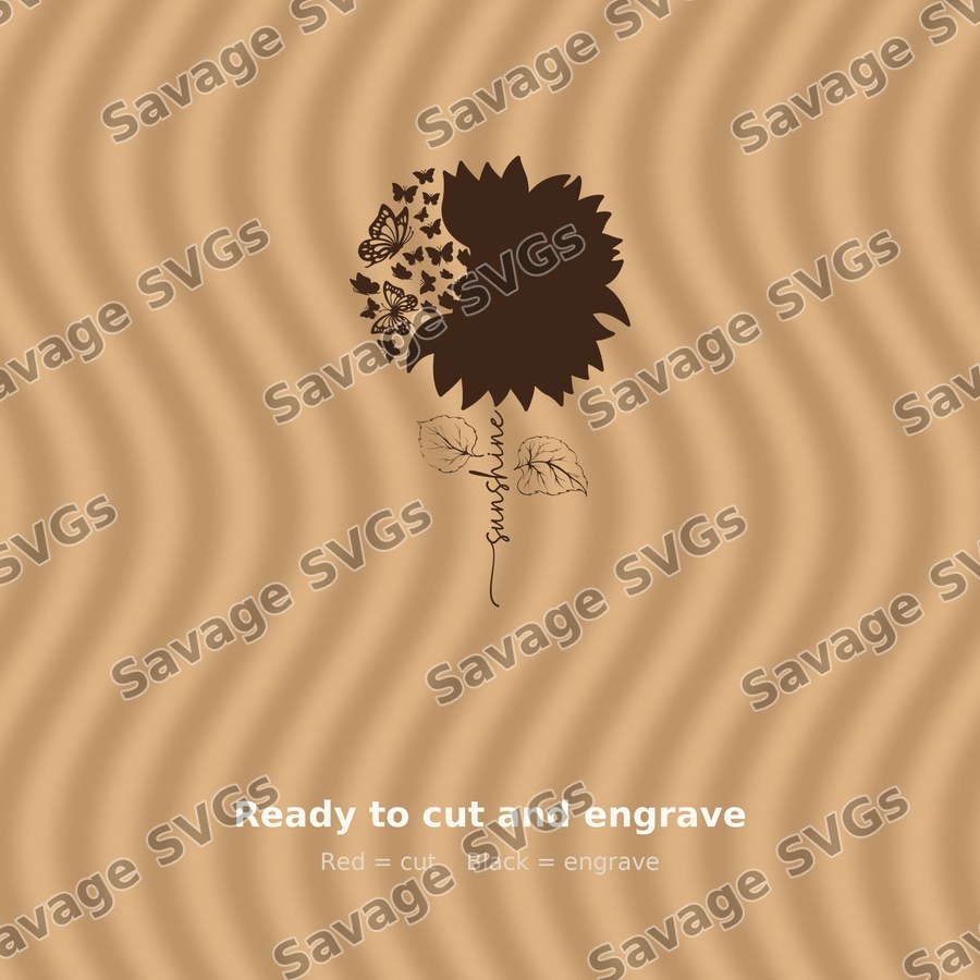 Sunshine 01