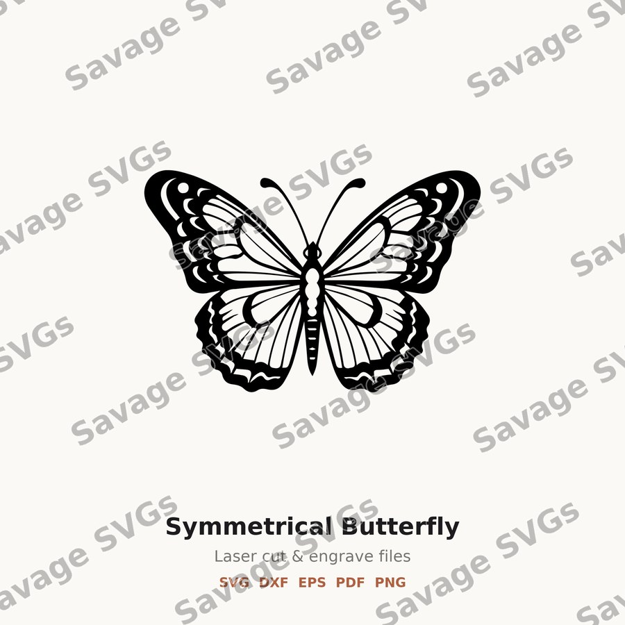 Symmetrical Butterfly
