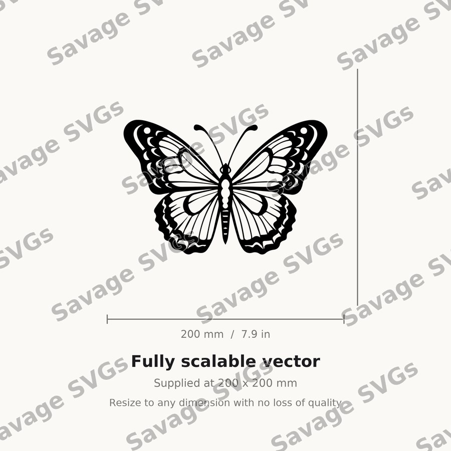 Symmetrical Butterfly
